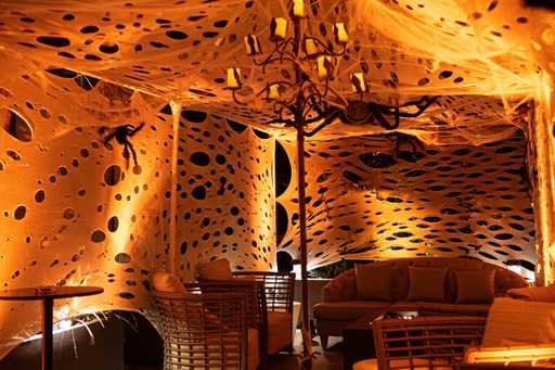 Fly Room Speakeasy decorated for a Halloween party